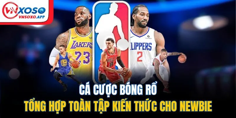 Cá Cược Bóng Rổ - Tổng Hợp Toàn Tập Kiến Thức Cho Newbie