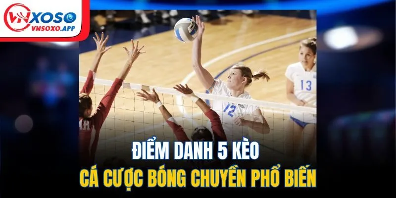 Điểm danh 5 kèo cá cược bóng chuyền phổ biến