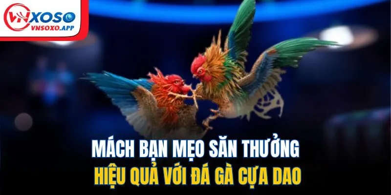 Mách bạn mẹo săn thưởng hiệu quả với đá gà cựa dao