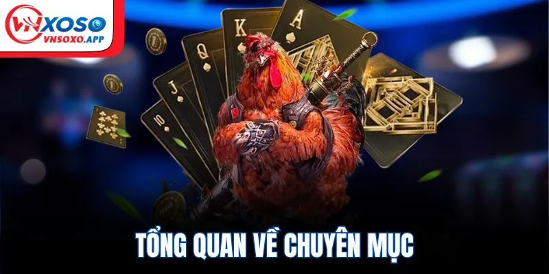 Tổng quan về chuyên mục