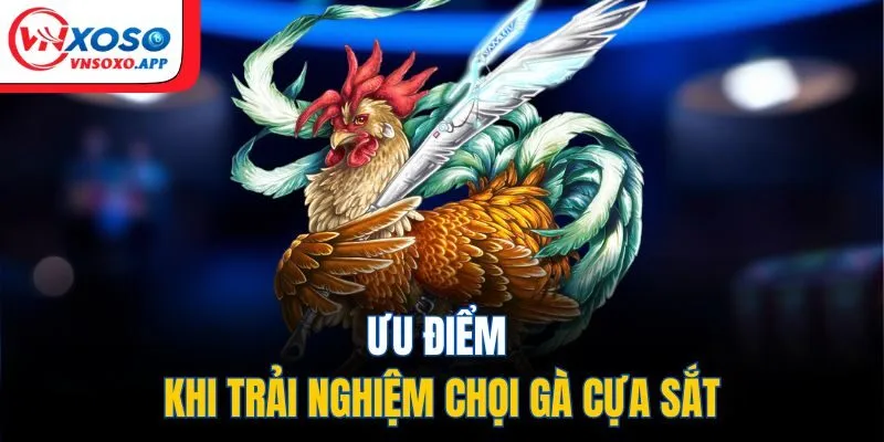 Ưu điểm khi trải nghiệm chọi gà cựa sắt